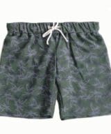 109-boy-palms-3745-Alex-Boy-Palm-Swim-shorts