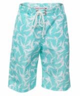 111-mint-dolphin-3661-8-MI-DOL-Sam-Board-shorts-FRONT