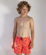 158-neon-ocen-fish-5151-37-NE_FISH-Boardie-Swim-Shorts3_m